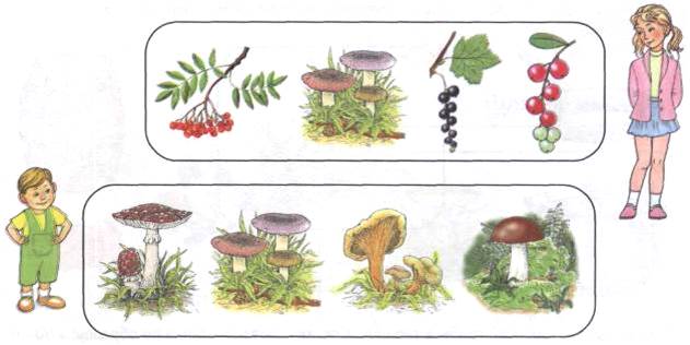 Контрольная работа по теме Ядовитые грибы и ягоды