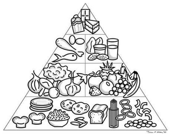 Пирамида Правильного Питания Раскраска
