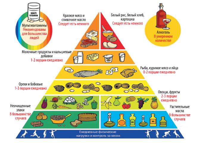 Программа Правильного Питания Химия Питания