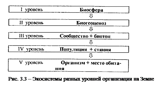 Экологические факторы и их действие на организмы