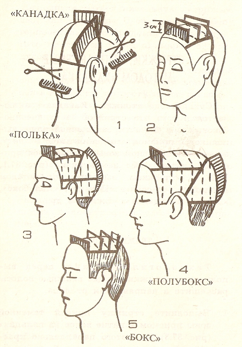 Технология выполнения мужской стрижки. Стрижка полубокс схема выполнения. Схема стрижки канадка мужская. Канадка мужская стрижка схема выполнения. Мужская стрижка канадка технология выполнения схема.
