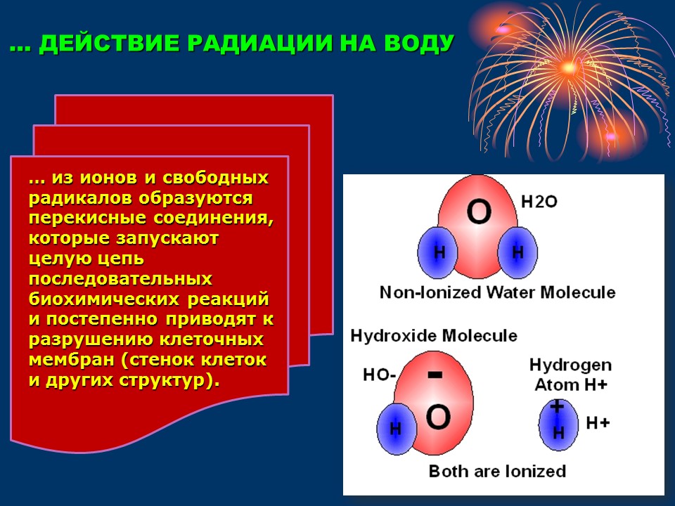Ионизирующие воздействия радиации. Действие радиоактивных излучений. Воздействие ионизирующего излучения. Воздействие радиации на воду. Влияние ионизирующего излучения на организм.