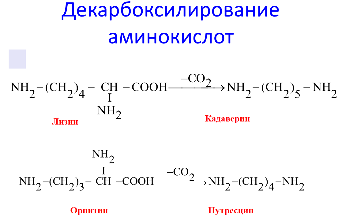 Что является продуктом реакции. Декарбоксилирование аминокислот кадаверин. Уравнение реакции декарбоксилирования лизина. Декарбоксилирование лизина реакция. Декарбоксилирование аминокислот лизина.