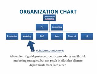 bull company structure organizational systems audit strategic control