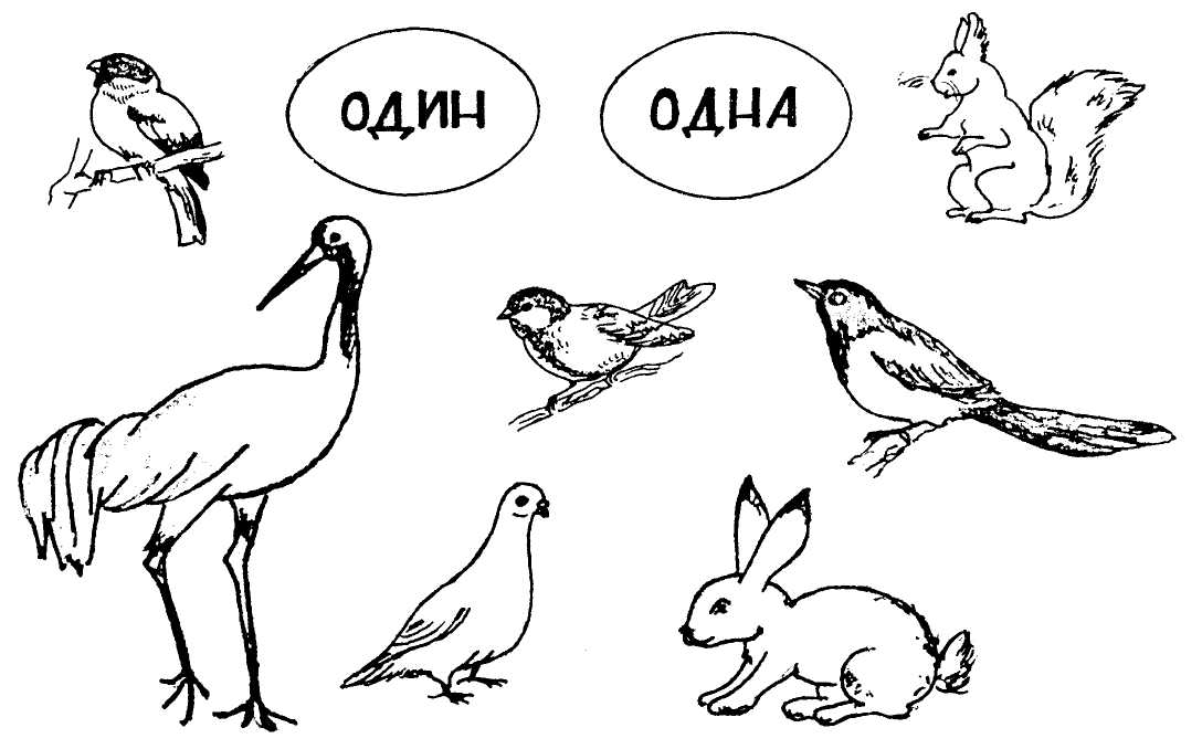 Конспект логопедического занятия перелетные птицы. Задание перелетные и зимующие птицы.