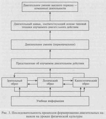 Процесс формирования двигательных умений. Схема формирования двигательного навыка. Стадии формирования двигательного навыка схема. Формирование двигательного умения и двигательного навыка. Формирование двигательного умения и двигательного навыка схема.