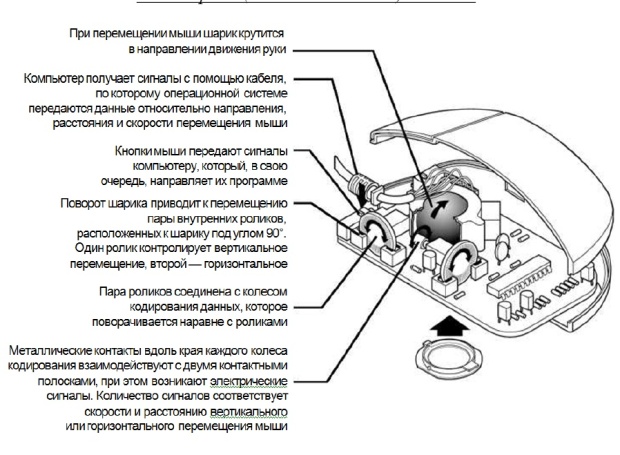 Электрическая схема компьютерной мыши