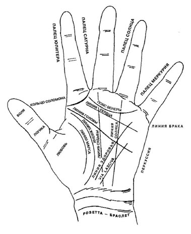 Линии Рук Хиромантия Фото