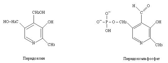 Пиридоксальфосфат ковалентно связан с ферментом за счёт взаимодействия .