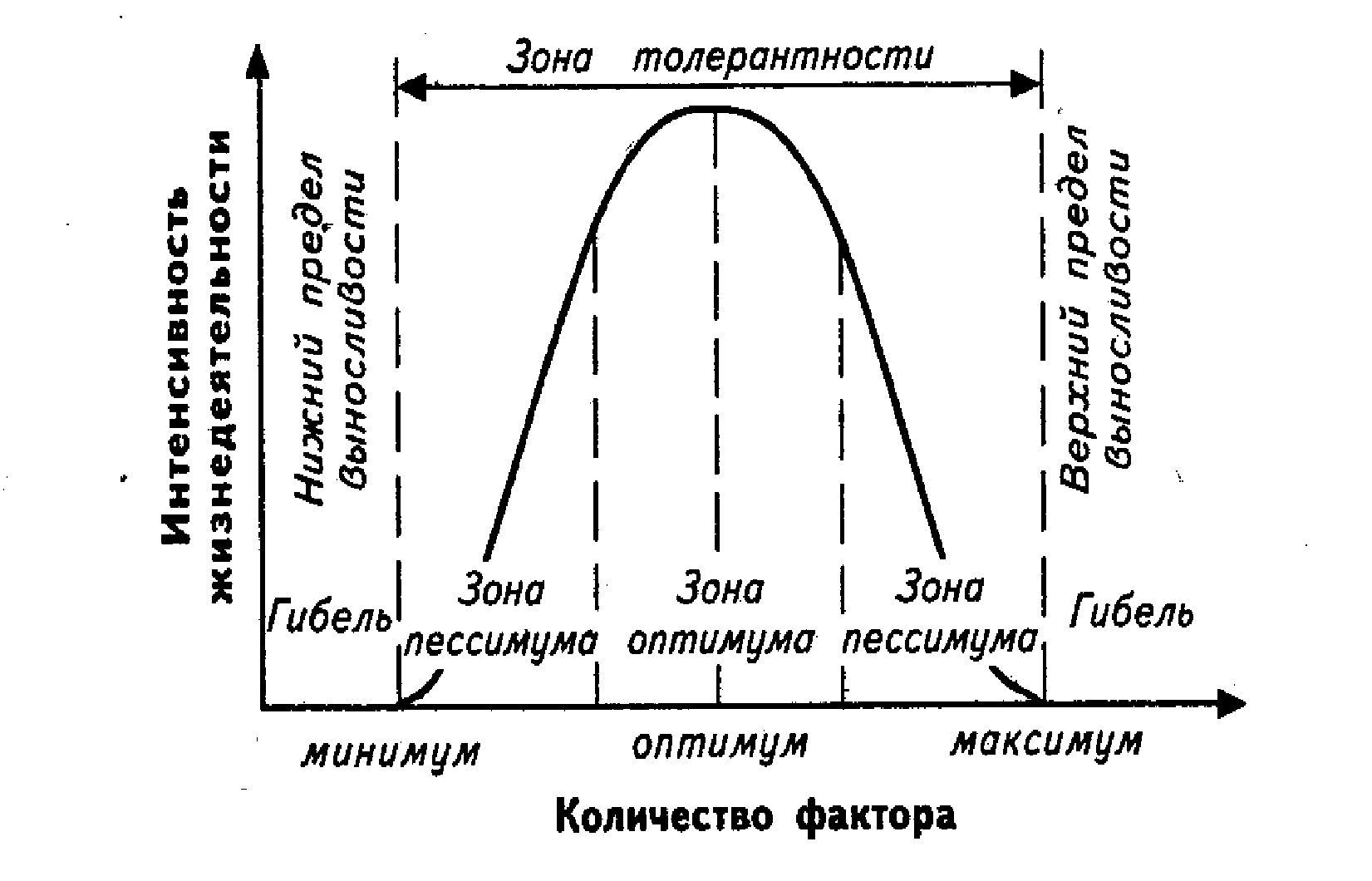 Закон оптимума кратко. Зона толерантности и положение оптимума график. Закон оптимума-пессимума рисунок. Зоны оптимума и пессимума в экологии. Зона оптимума на графике.