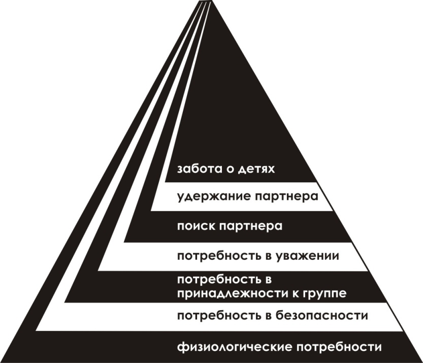 Редкость потребностей. Пирамида Маслоу. Пирамида Маслоу 7. Абрахам Маслоу треугольник. Треугольник потребностей человека Маслоу.