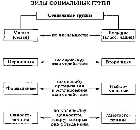 Распределите общества по группам