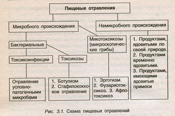 Группа пищевых заболеваний. Пищевые отравления бактериального происхождения таблица. Пищевые отравления схема. Классификация пищевых отравлений схема. Пищевые инфекции и пищевые отравления.