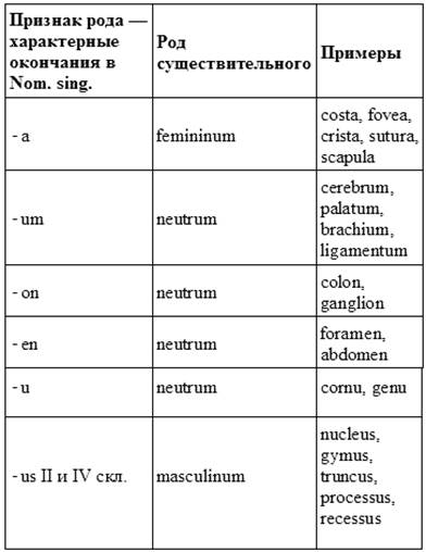 Подострый латынь. Роды существительных в латинском языке. Род в латинском языке таблица. Определение рода имен существительных в латинском языке. Как определить род в латинском языке у существительных.