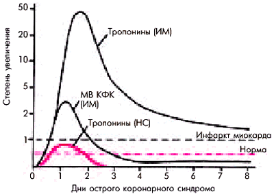 Кфк мв что это. Динамика КФК МВ при инфаркте. Кривая динамики тропонинов при инфаркте миокарда. Тропонин КФК МВ. Уровень тропонинов при инфаркте.