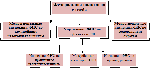 Структура ФНС России схема. Структура налоговых органов РФ схема. Структура ФНС России таблица. Структура органов ФНС России.