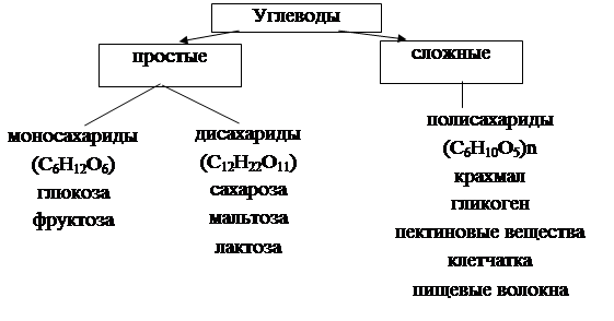 Схема 14 классификация углеводов