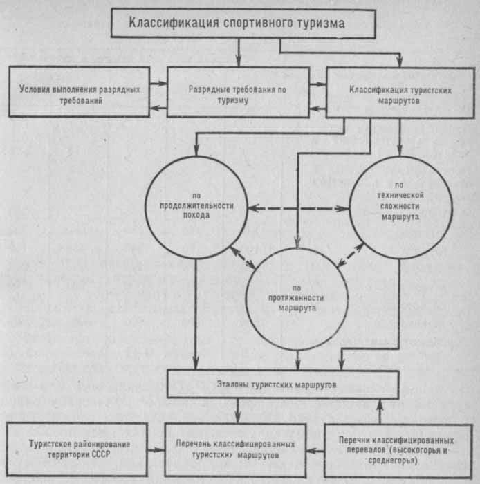 Виды туризма схема