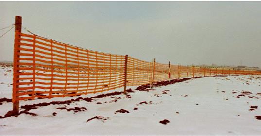 ОДМ 218.2.045-2014 Рекомендации по проектированию лесных снегозадерживающих насаждений вдоль автомобильных дорог | НАДЗОР-ИНФО: Сообщество экспертов России