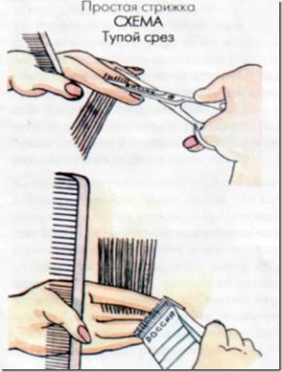 Реферат: Инструменты парикмахера
