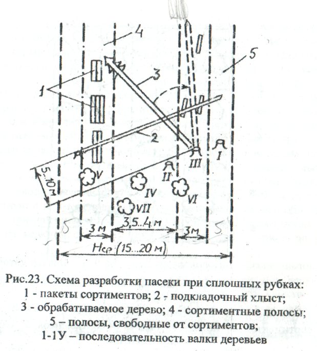 Схема разработки пасеки