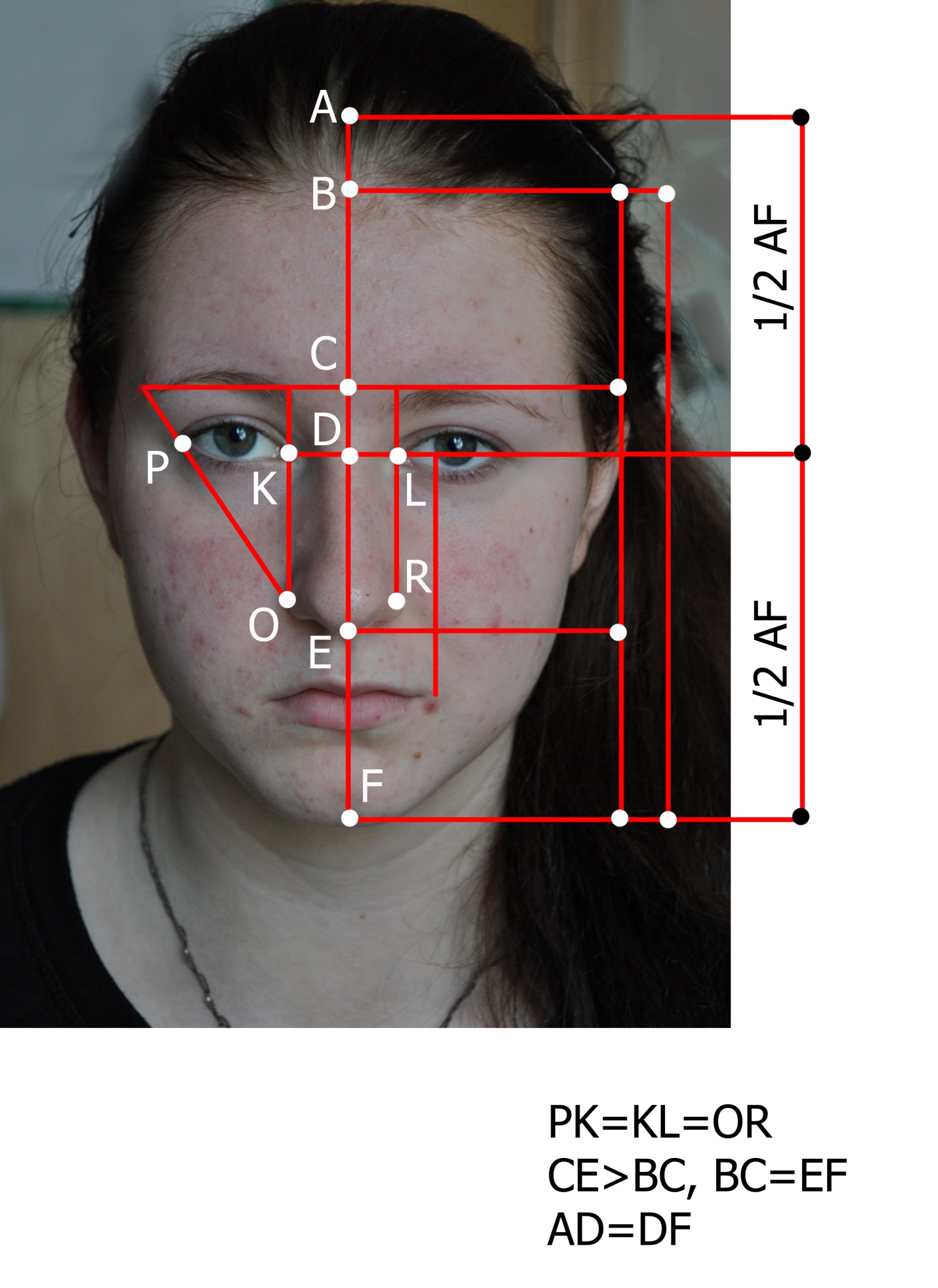 Лицо может рассчитывать на. Идеальные пропорции лица золотое сечение. Красивые пропорции лица. Идеальные пропорции лица схема. Идеальные пропорции женского лица.