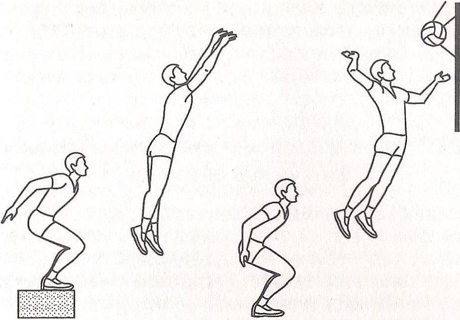 Упражнения для прыжка в волейболе