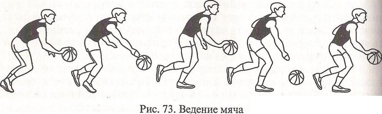 Ведение мяча двумя руками в баскетболе. Ведение мяча с изменением высоты отскока. Ведение мяча с изменением направления отскока. Ведение мяча с изменением высоты в баскетболе. Техника ведения мяча правой и левой рукой в баскетболе.