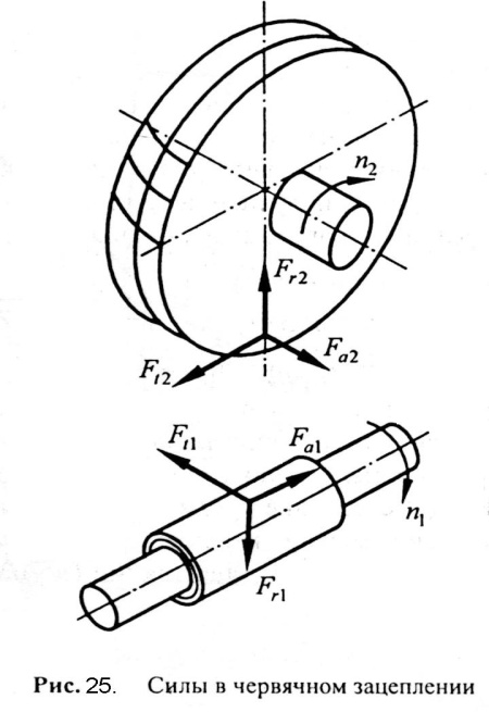 Оси рис. Силы действующие в зацеплении червячной передачи. Схема сил действующих в зацеплении червячной передачи. Схема сил действующая в зацеплении червячного редуктора. Схема сил в червячном зацеплении.
