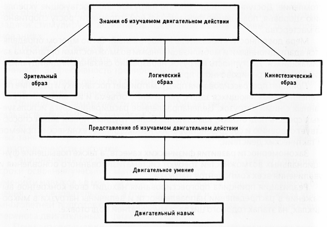 Это сюжет образный или условный замысел план игры правила и двигательные действия