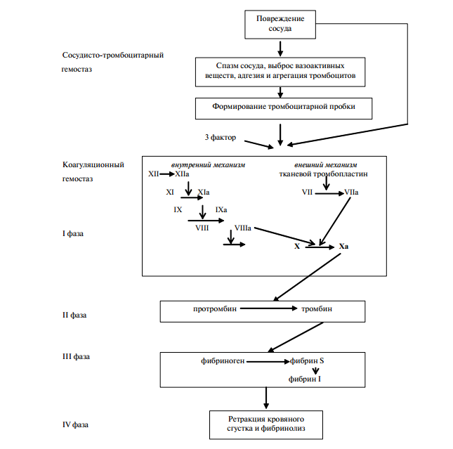 Диагностика нарушения гемостаза. Гемостаз биохимия схема. Этапы гемостаза схема. Коагуляционный гемостаз схема. Система гемостаза схема.