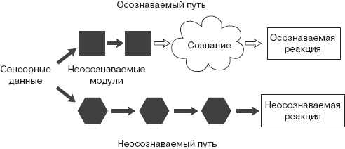 В концепции бурдье система неосознаваемых схем восприятия и действия