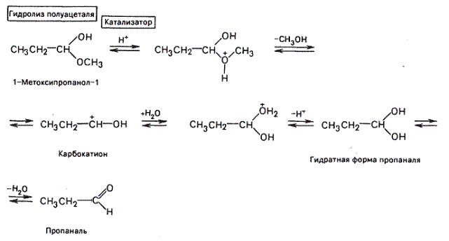 Гидролиз пропаналя. Гидролиз ацеталей. Пропаналь в полуацеталь. 1 Метоксипропанол 1. Реакция окисления пропаналя.