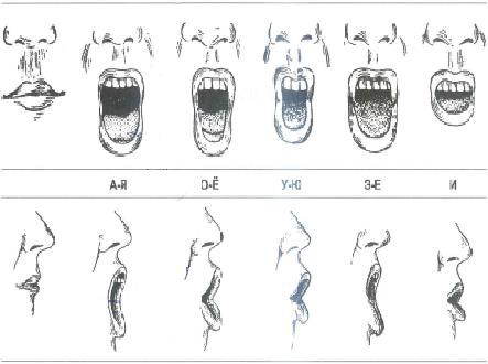 Язык встал. Рот при пении. Позиция рта при пении. Положение языка при пении гласных. Правильная позиция при пении.