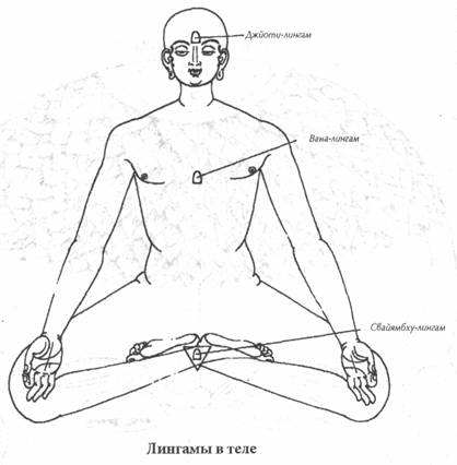 Как сделать массаж лингама