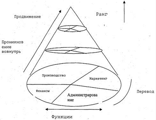 Структура карьера. Виды внутриорганизационной карьеры. Конус карьеры э.Шейна. Структура внутриорганизационной карьеры э. Шейна..