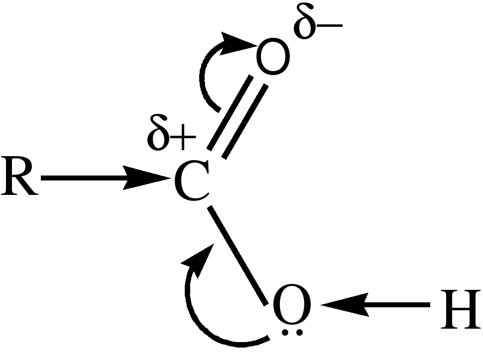 Карбонильная кислота формула. Электронное строение карбоксильной группы. Электронное строение монокарбоновых кислот. Распределение электронной плотности в карбоновых кислотах. Электронное строение уксусной кислоты.