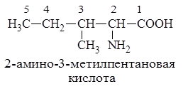 2 метилпентановая кислота формула. 2-Амино-3-метилпентановой кислоты. 2-Амино-4-метилпентановой кислоты. 2 Амино 4 метилпентановая кислота. 3 Метилпентановая кислота структурная формула.