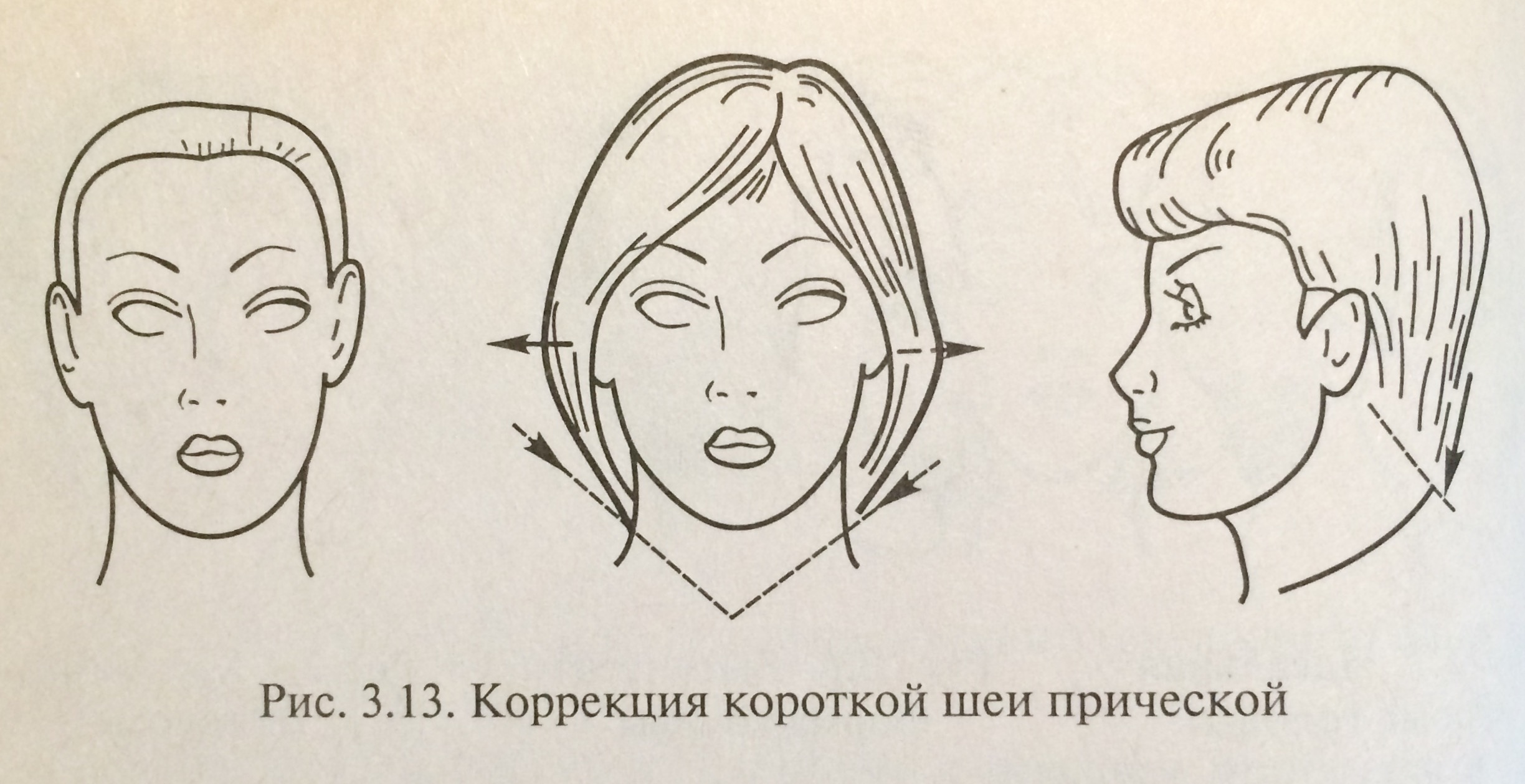 Округлая форма головы. Корректировка формы лица с помощью прически. Коррекция круглой формы головы. Куполообразная форма головы. Форма головы для стрижки.