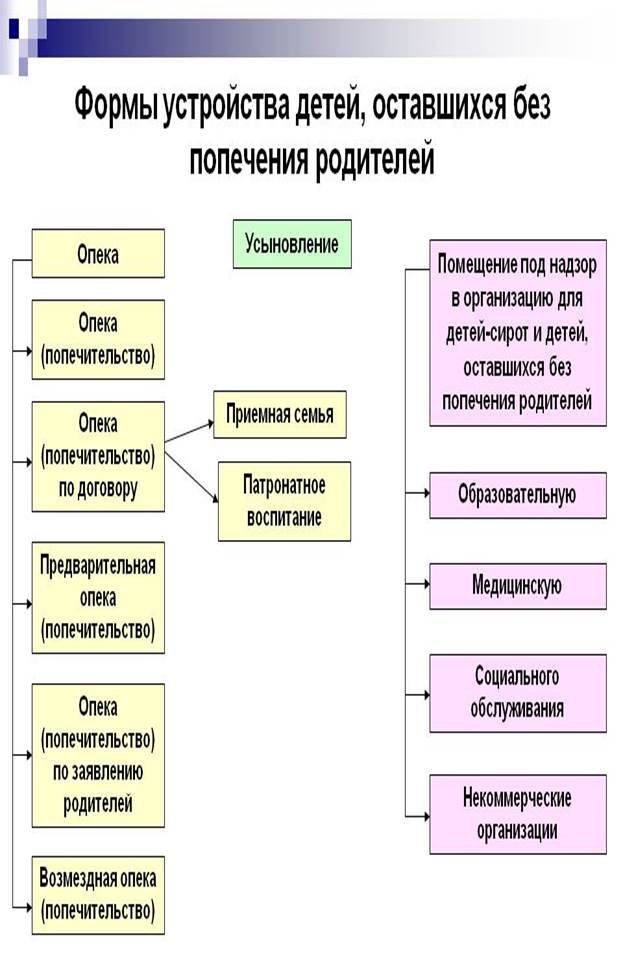 Формы устройства детей. Организации социального обслуживания для детей.