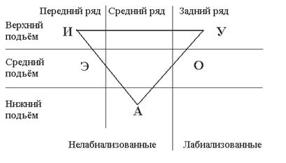 Треугольник щербы фонетика русского языка