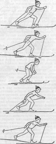 Передвижение скользящим шагом. Скользящий шаг на лыжах. Рисунок скользящего шага на лыжах. Ходьба скользящем шагом без палок на лыжах. Рисунок техника скользящего шага.