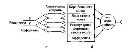 Одной из схем выдвижения является конвергенция