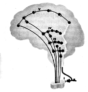 Рефлексы мозга книга. Рефлексы головного мозга Сеченов. Рефлексы головного мозга Сеченова. Книга Сеченова рефлексы головного мозга 1863.