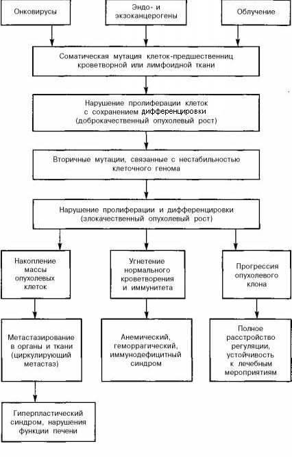 Патогенез лейкозов схема