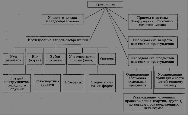 Транспортная трасология презентация