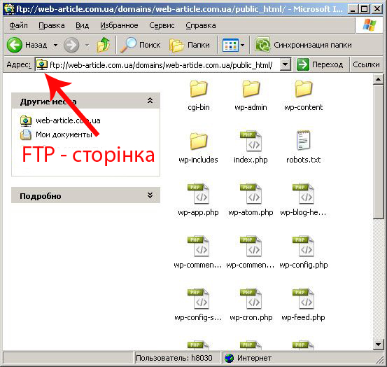 Ftp tatar ru. FTP ссылка. FTP как выглядит ссылка. FTP пример. Адрес сайта FTP.
