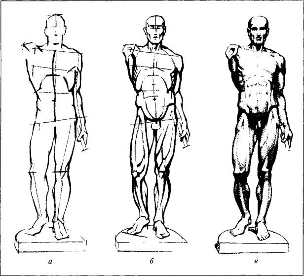 Рисунок изображение фигуры. Фигура человека рисунок. Схема человеческой фигуры. Телосложение построение. Построение фигуры мужчины.