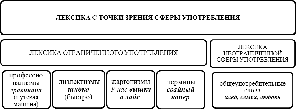 С точки зрения наличия в. Лексика русского языка с точки зрения сферы употребления. Схема лексика русского языка с точки зрения сферы употребления. Таблица лексика с точки зрения её употребления. Лексика ограниченной сферы употребления примеры.