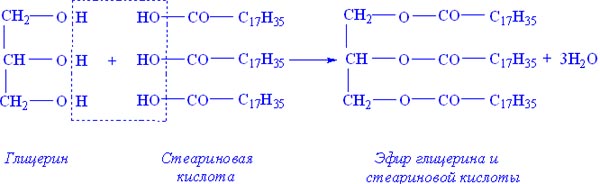 Реакция образования жира. Глицерин и стеариновая кислота реакция. Глицерин стеариновая кислота уравнение. Реакция этерификации глицерина и стеариновой кислоты. Глицерин стеариновая кис.